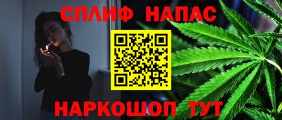 spice Ставрополь