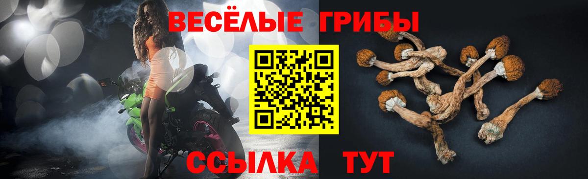Псилоцибиновые грибы прущие грибы Новошахтинск